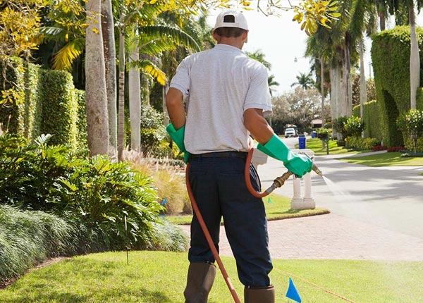 About Thayne WY Pest Control